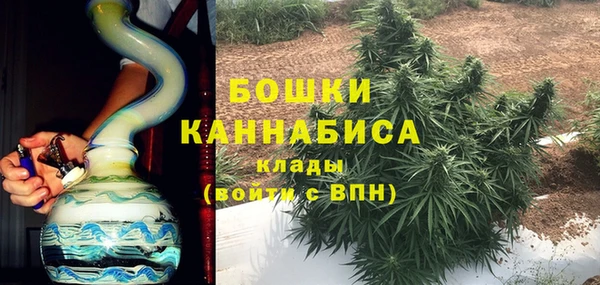 крисы Каменка