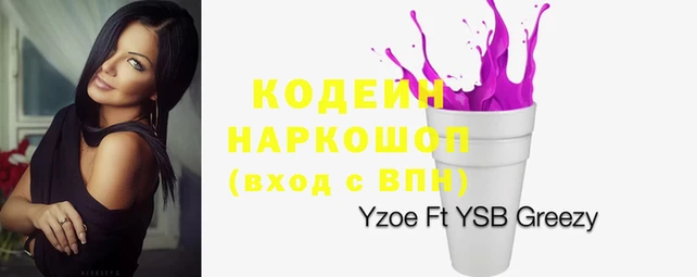 крисы Каменка