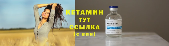 крисы Каменка