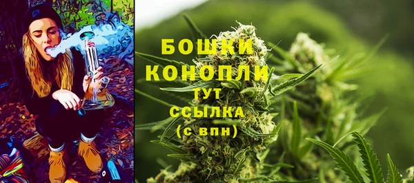 крисы Каменка