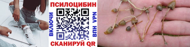 купить   Павлово  kraken ТОР  Галлюциногенные грибы ЛСД 