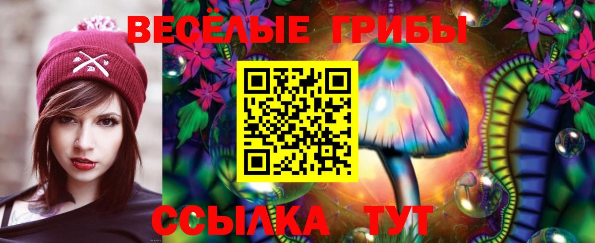 Псилоцибиновые грибы Psilocybe  Галлюциногенные грибы прущие грибы  Павлово  Вход с VPN 